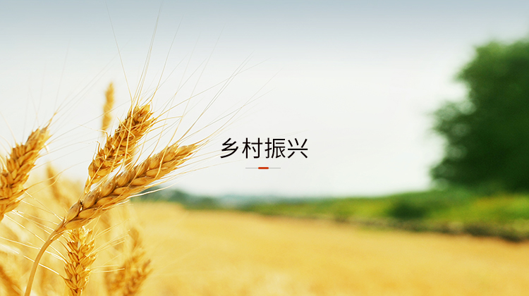 鄉(xiāng)村振興