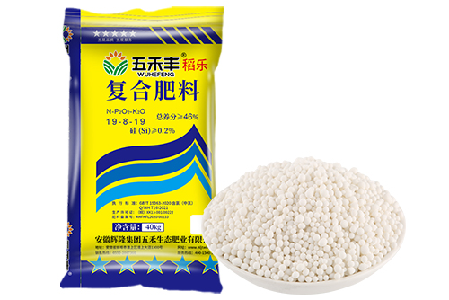 五禾豐復(fù)合肥（稻樂）